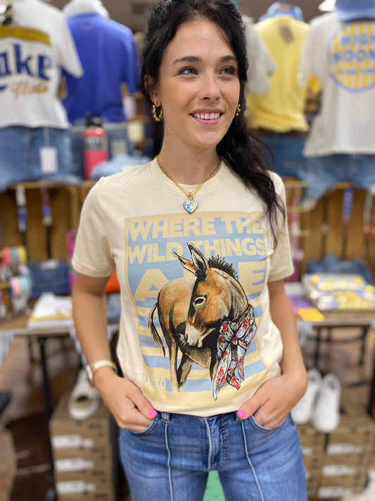 Where The Wild Things Are