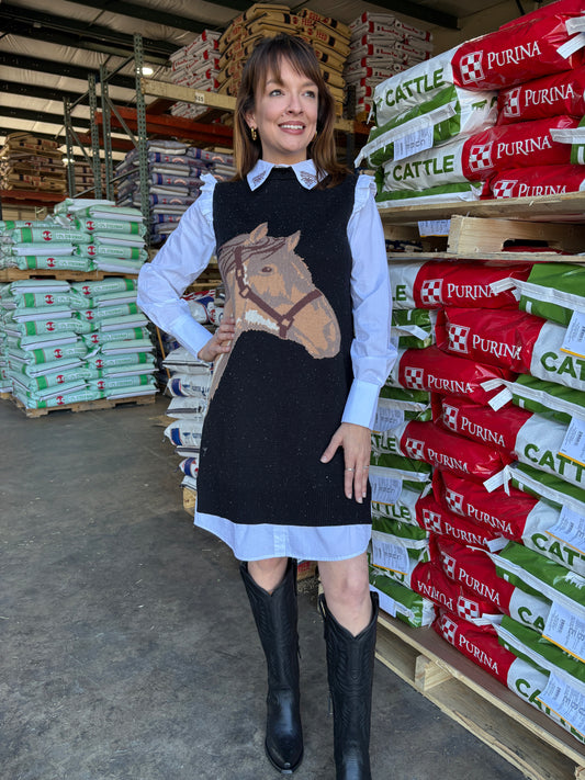 BOW-HORSE SWEATER DRESS
