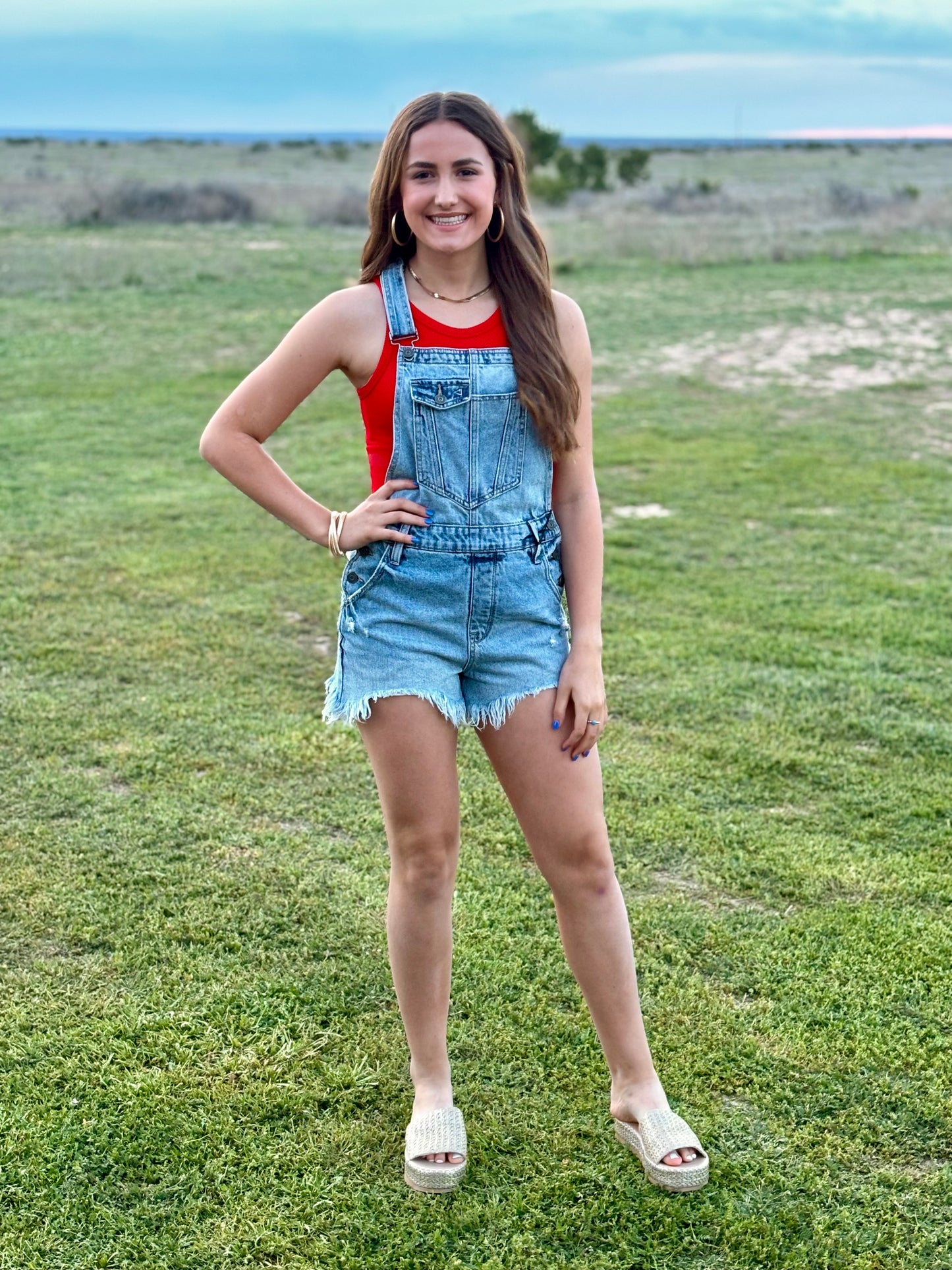 Denim Overall Shorts