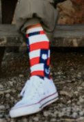 Lucky Chuck America Socks