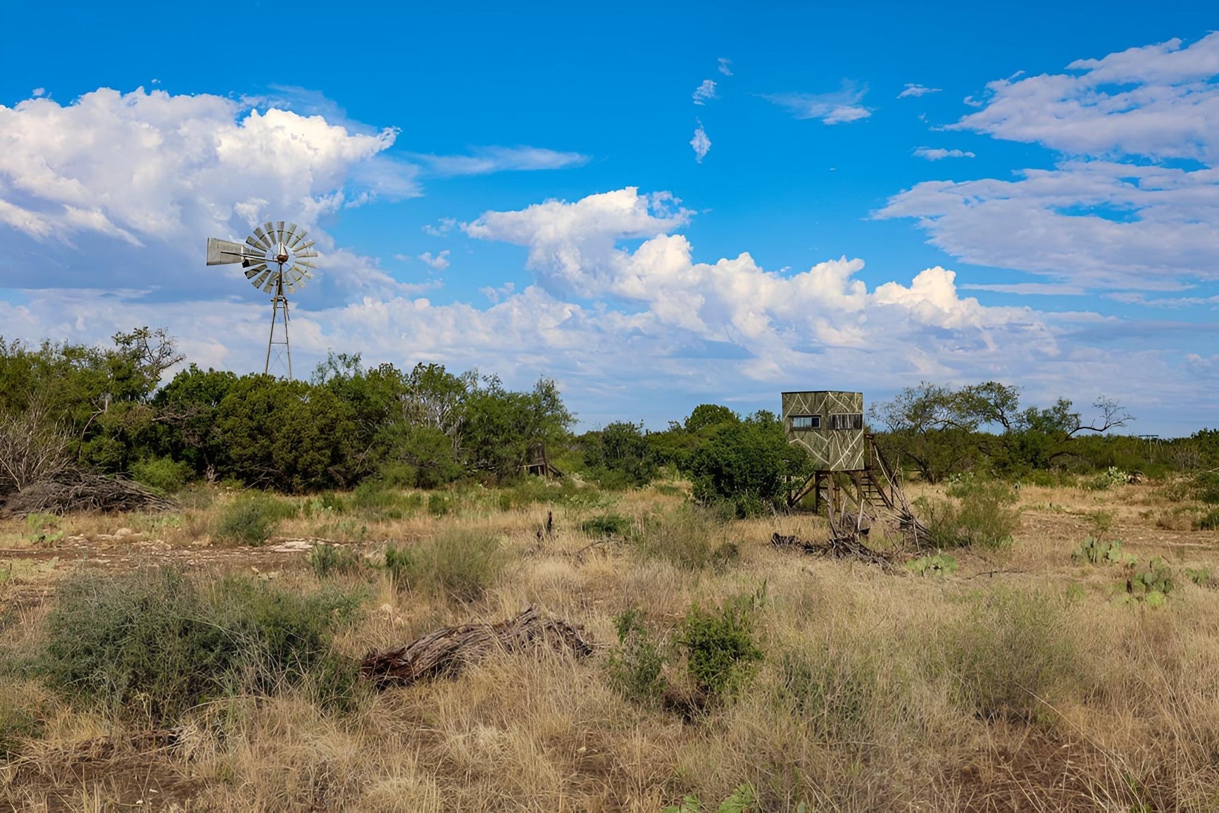 DEL RIO FEED & SUPPLY, DEL RIO, TEXAS Del Rio Feed & Supply